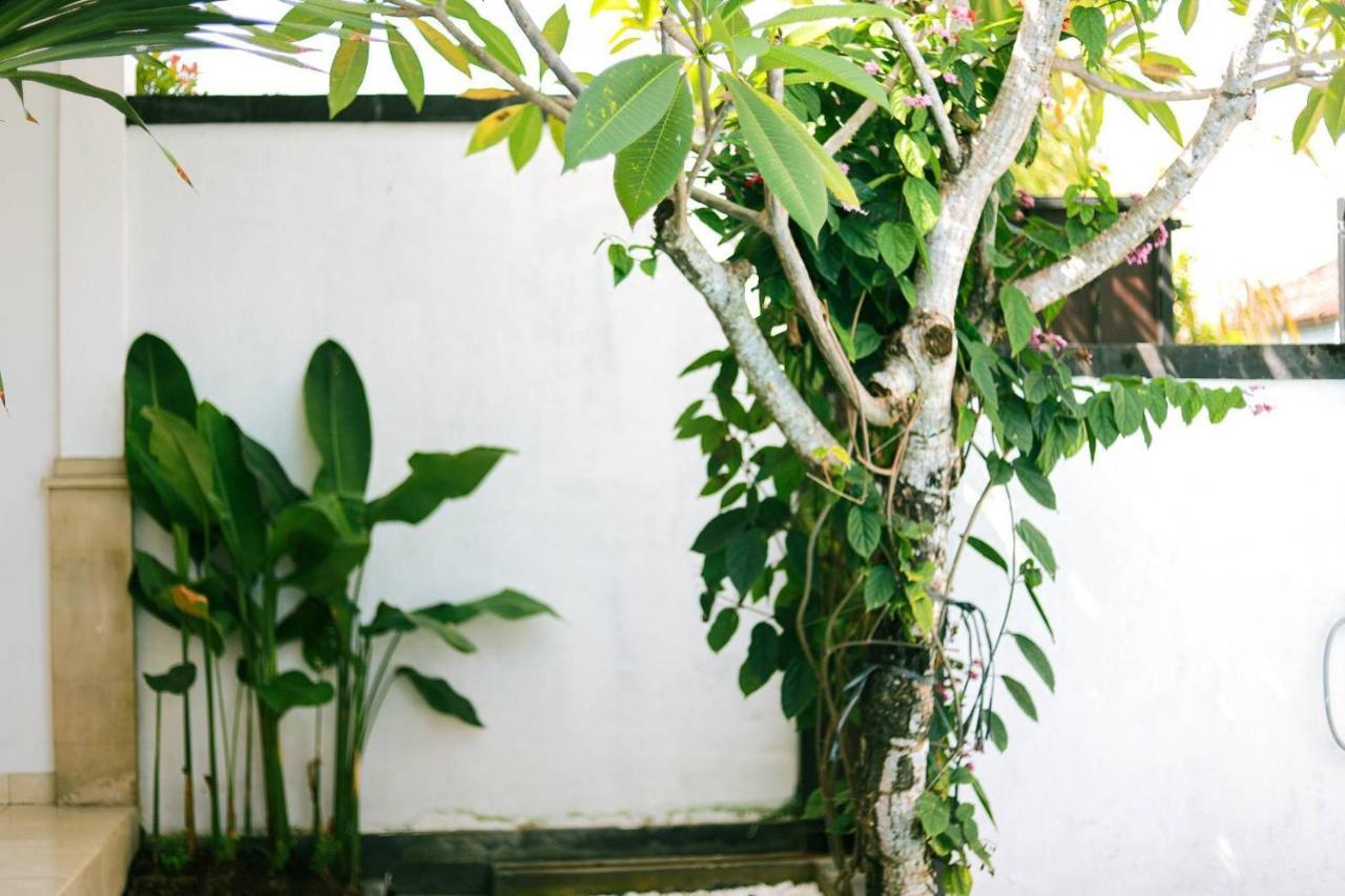Adi Guest House Canggu  Exterior photo
